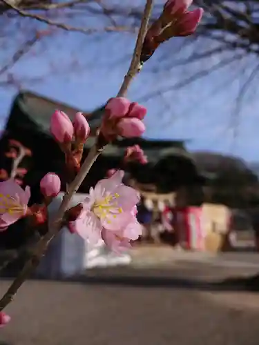 賀羅加波神社の自然
