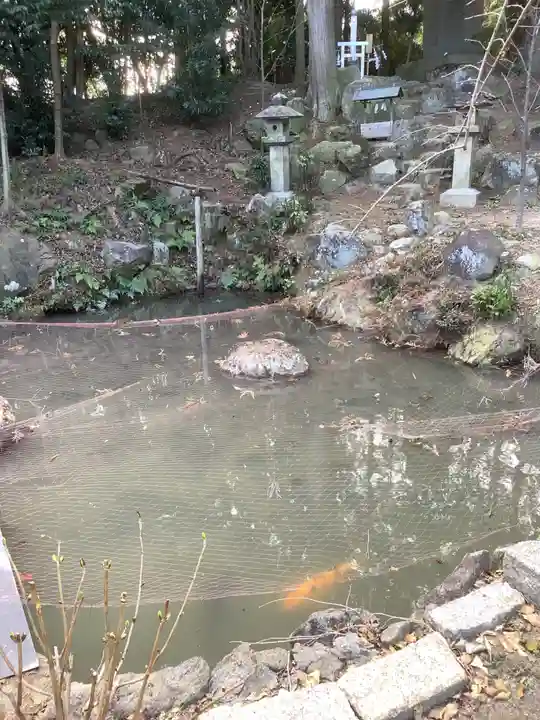 玉鉾神社の動物