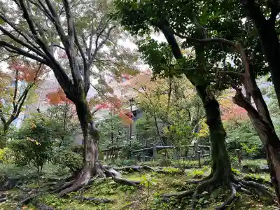 乃木神社(東京都)