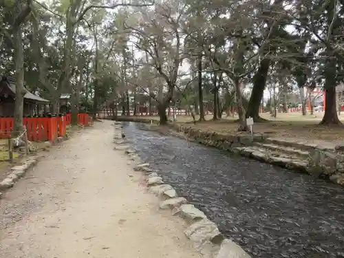 賀茂別雷神社（上賀茂神社）の景色