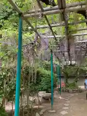 住吉神社の自然