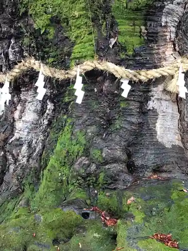 秩父今宮神社の自然