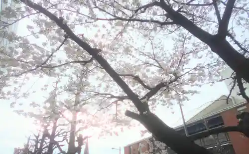 久留米宗社　日吉神社の自然