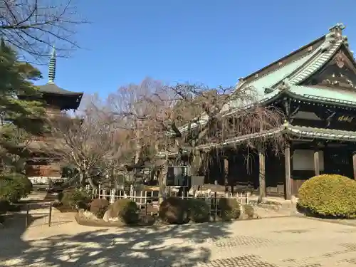 豪徳寺のその他建物