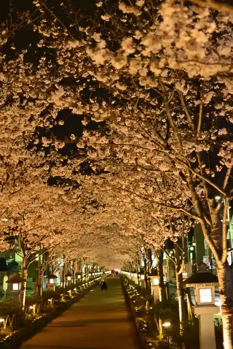 鶴岡八幡宮(神奈川県)