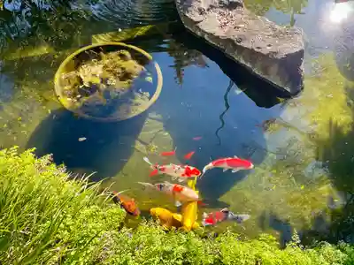 長禅寺(茨城県)