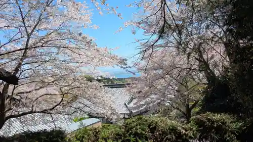 西教寺(滋賀県)