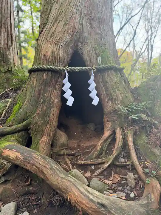 戸隠神社奥社(長野県)