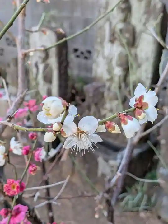 田端神社(東京都)