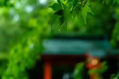 枚聞神社(鹿児島県)