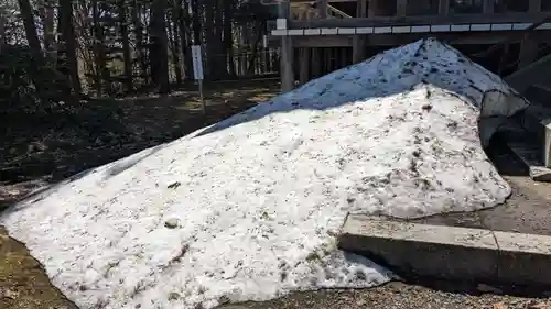 上川神社の自然