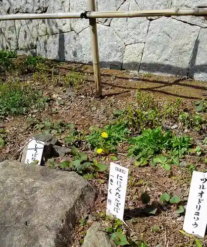 高幡不動尊　金剛寺の庭園