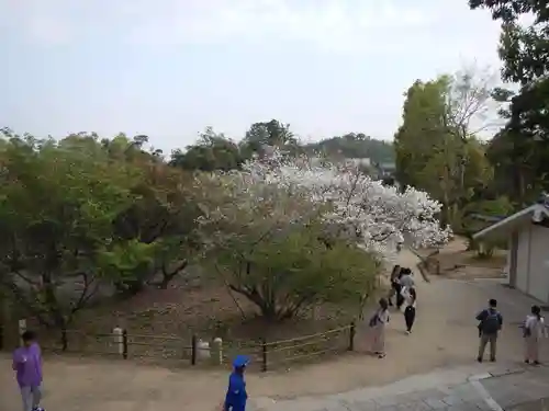 仁和寺の庭園