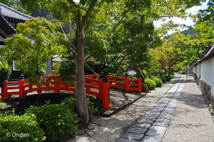 金剛寺(大阪府)