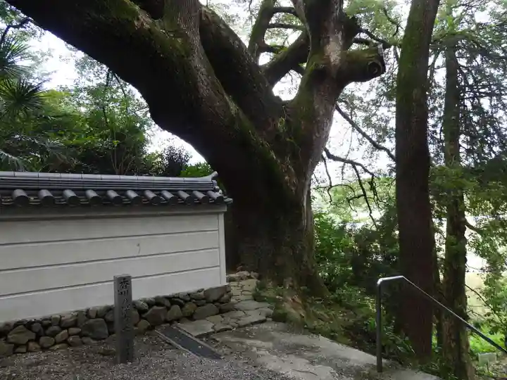 大興寺(香川県)