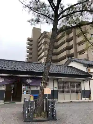 別小江神社のその他建物