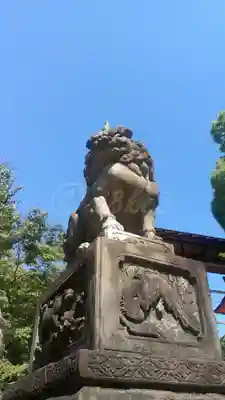 八坂神社(祇園さん)の狛犬