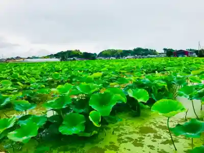 青麻神社の自然