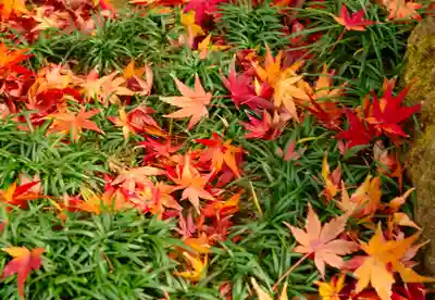 洲嵜神社(愛知県)