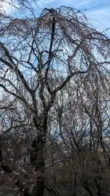 松ヶ崎大黒天 妙圓寺（妙円寺）(京都府)