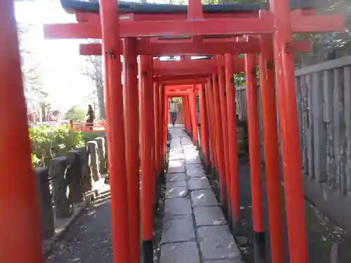 乙女稲荷神社の鳥居