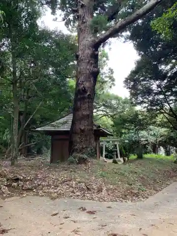八幡神社(千葉県)