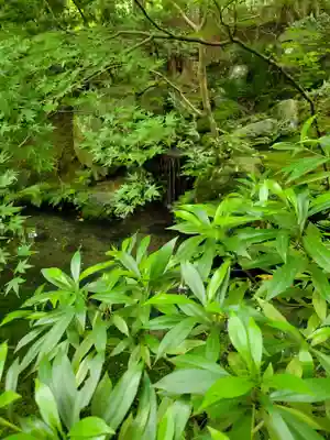 光明寺瑠璃光院(京都府)