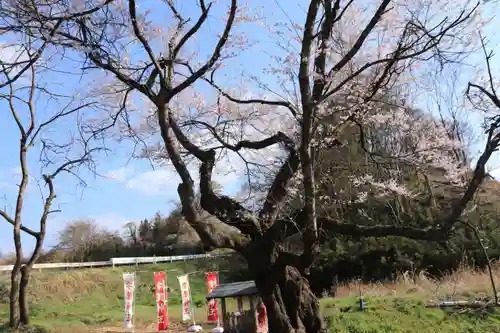 宇賀神さまの景色