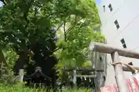 愛宕神社の景色