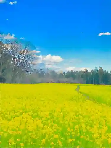 芝山仁王尊 観音教寺の景色