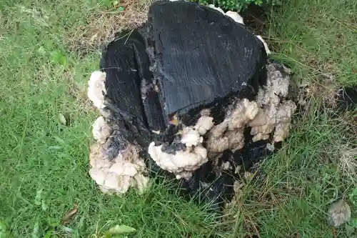 氣比神宮のその他建物