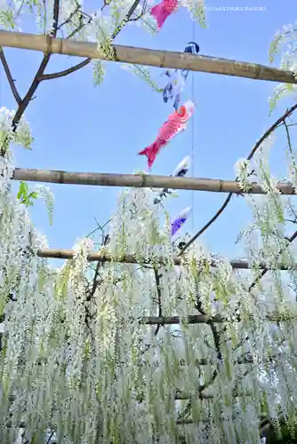 白旗神社(神奈川県)