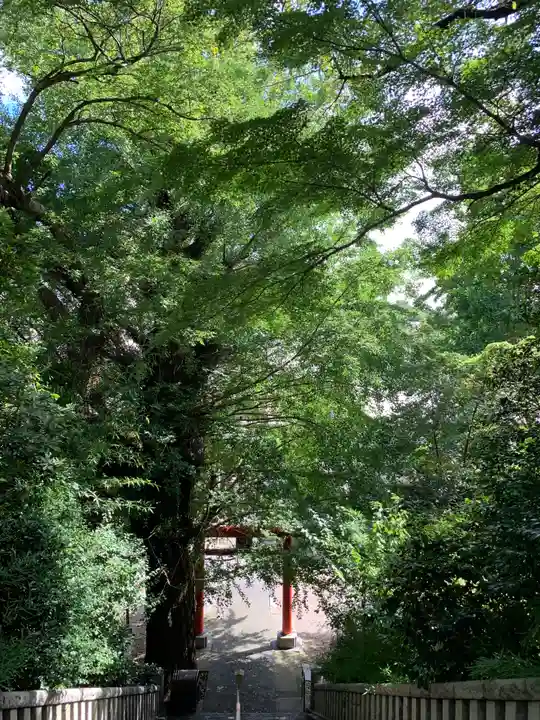 雷神社(神奈川県)