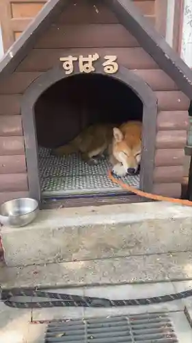 感通寺(東京都)