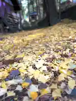 山家神社の自然