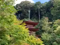 浄瑠璃寺の建物その他