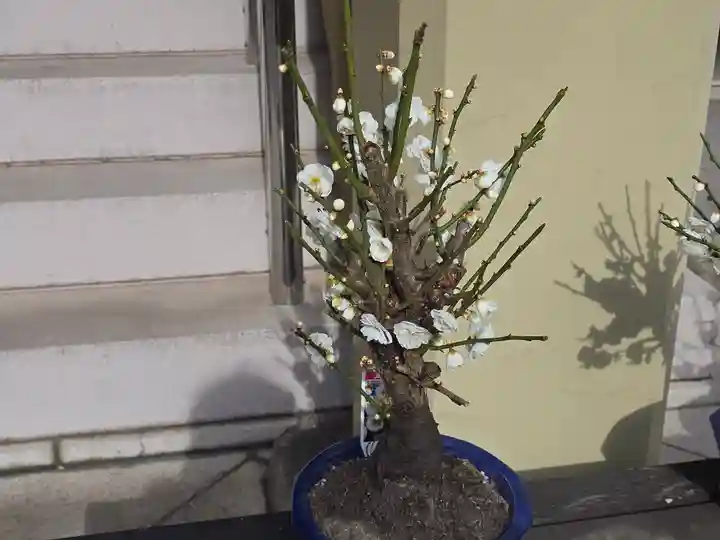 正祐寺(大阪府)