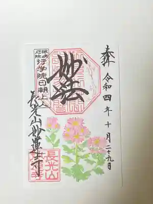 小菊