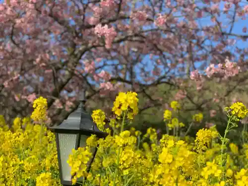 かっぱの寺 栖足寺の自然