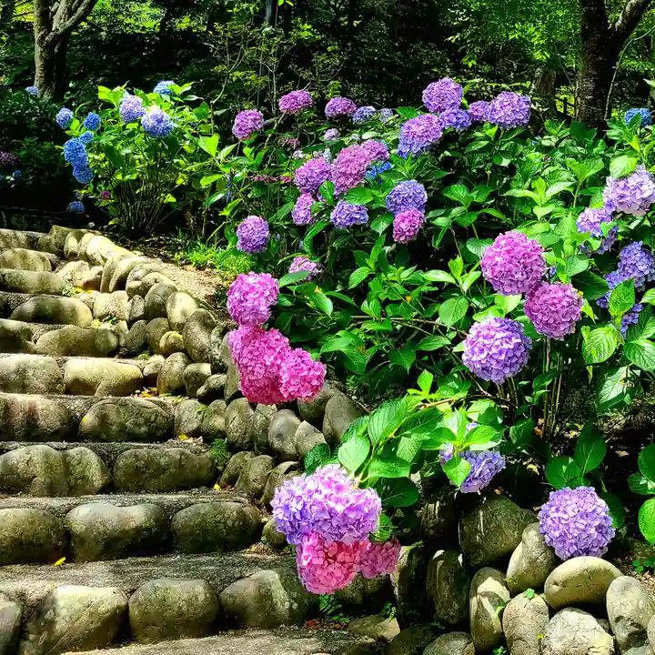 尊永寺(静岡県)