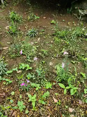 不動寺(埼玉県)