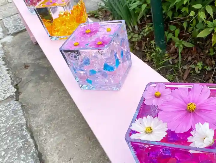 般若寺 ❁コスモス寺❁(奈良県)