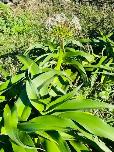 夢崎明神(山口県)