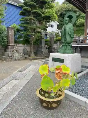 大運寺(神奈川県)
