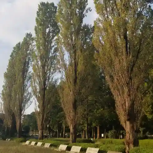 香取神社の自然