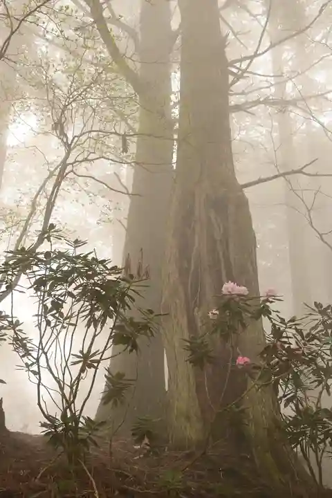 三峯神社(埼玉県)