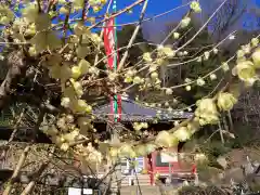 清水寺の自然