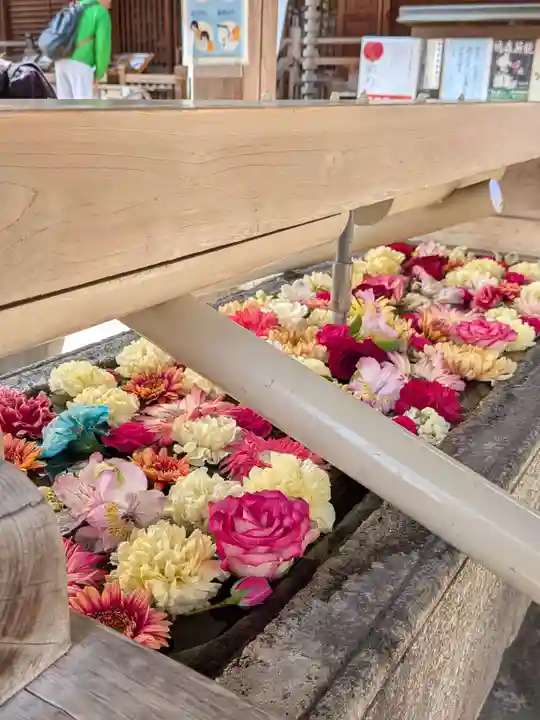 鳩森八幡神社(東京都)