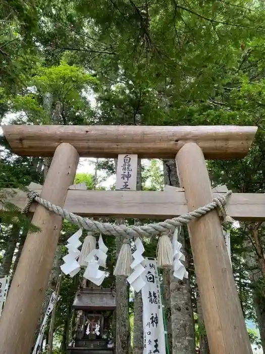 白龍神社の鳥居