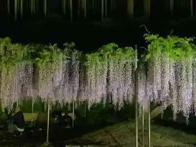 天台宗 五大山 白毫寺(兵庫県)